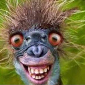 Meet your Posher, Blanche